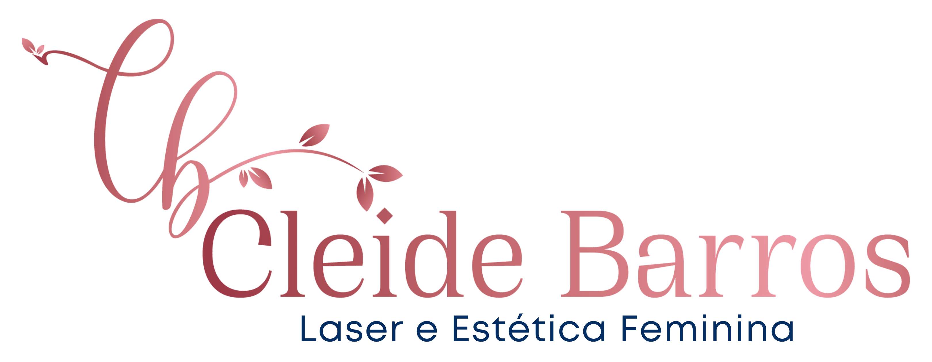 Cleide Barros Estética Feminina